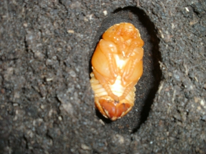 BILD0003.JPG